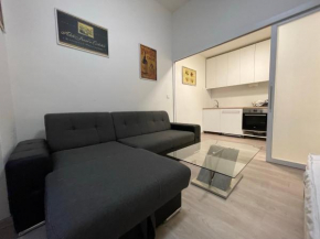 Vintage Apartment Ostrava center city
